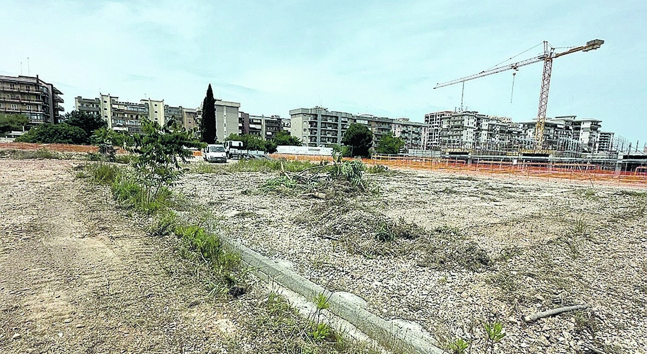 Palasport di Poggiofranco, lavori al via con i fondi Pnrr: il progetto