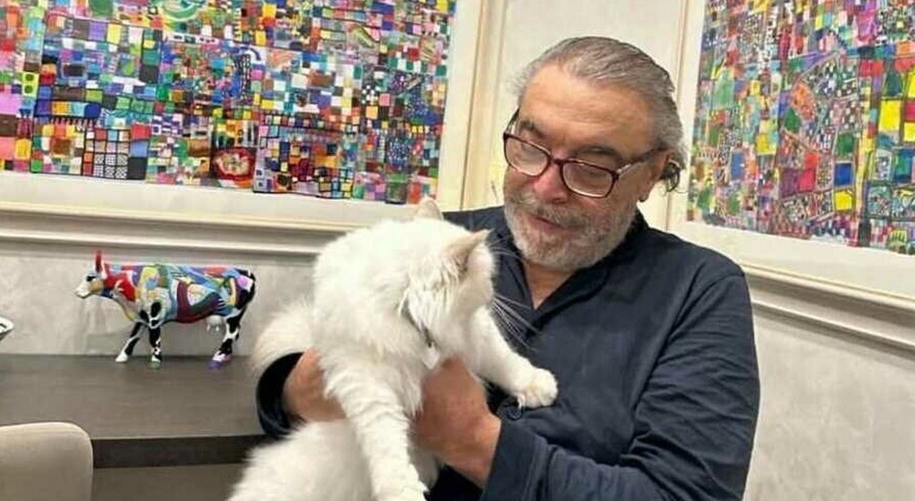 Actor Nino Frassica under investigation over missing cat controversy