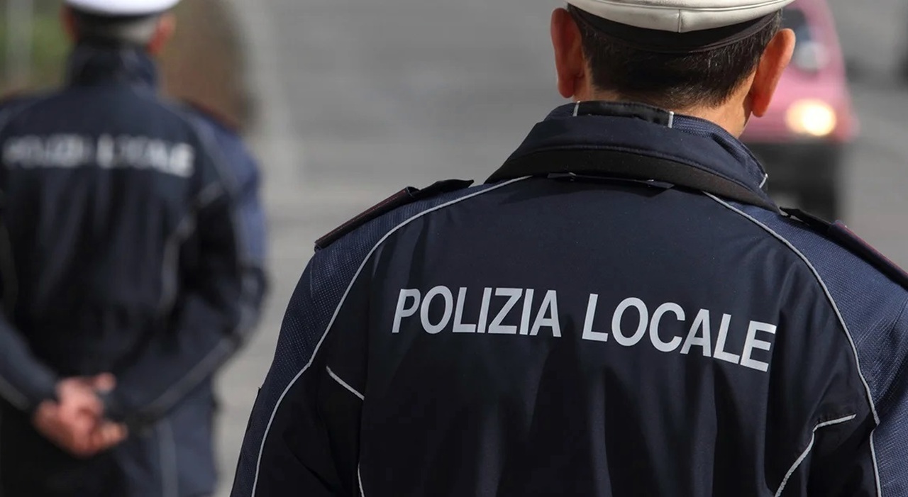 Local Police Sanction Illegal Activities in Naples Districts