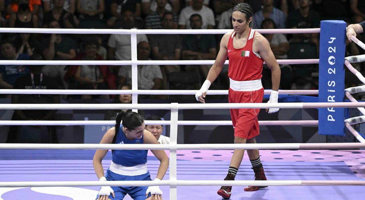 Carini contro Khelif le urla, la pressione politica, il mal di denti