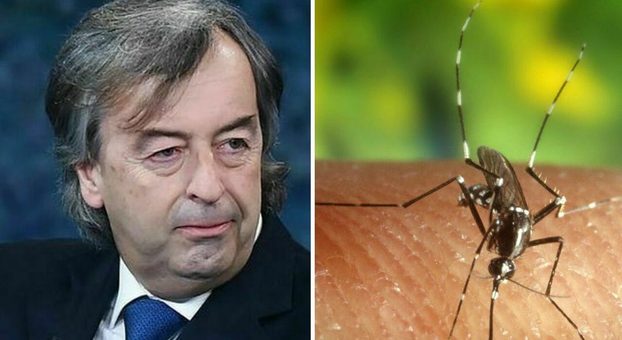 Malaria in Veneto, Burioni: «Se confermato è un guaio che neanche vi immaginate»