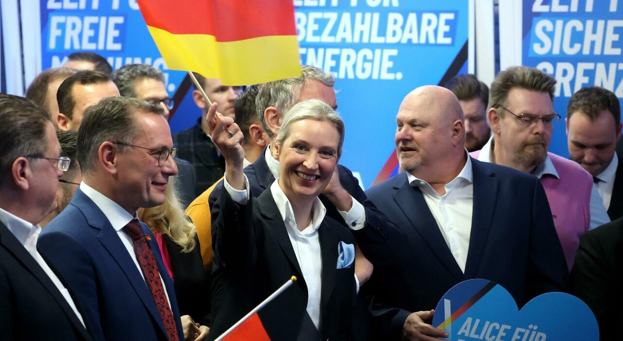 AfD, boom dell