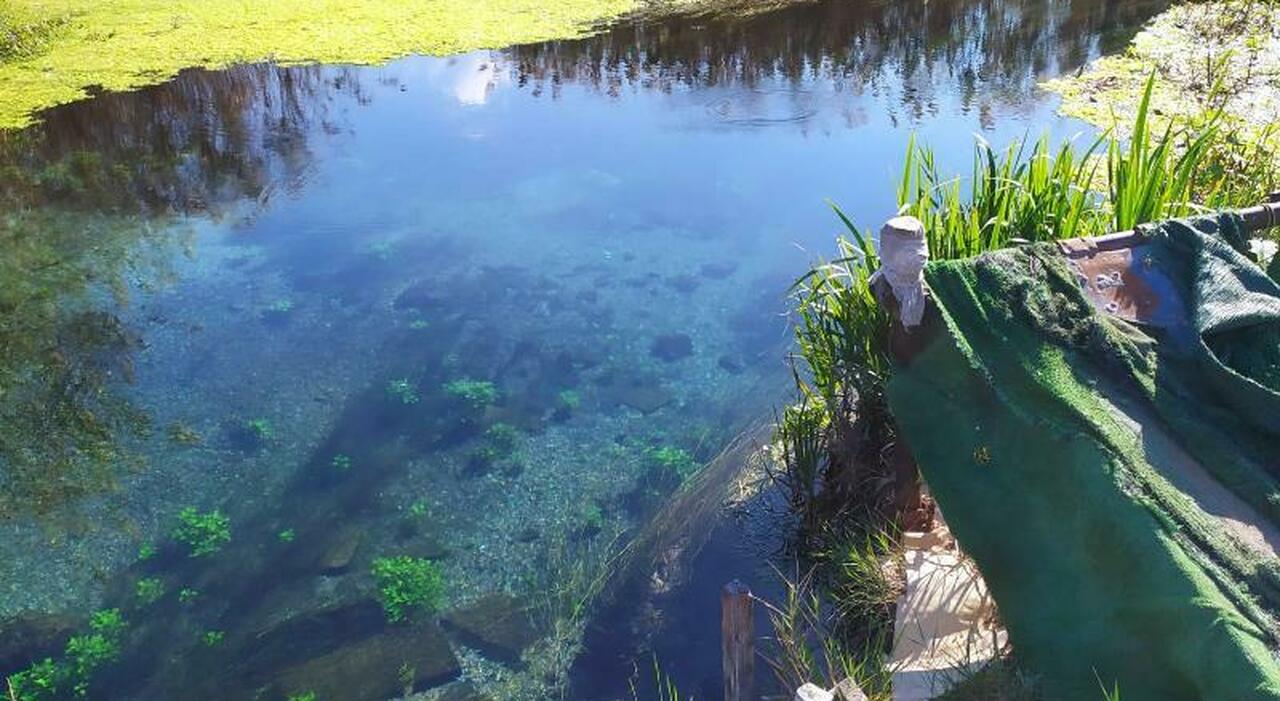 Altolà dell?Arpa al dissalatore: "Così il fiume Tara scomparirà"