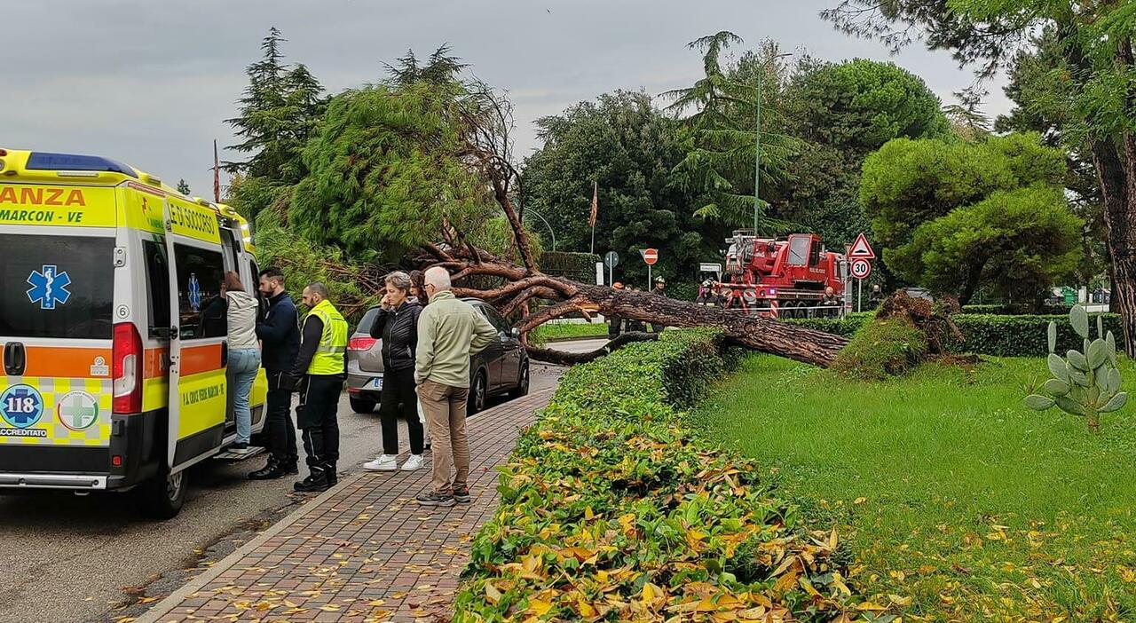 Maltempo, allagamenti in mezzo Nordest: a Mestre un albero cade su un