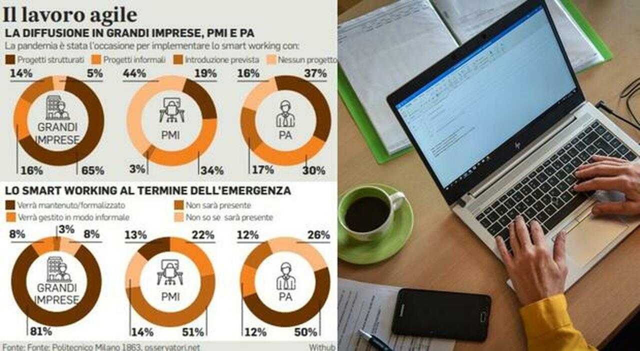 Smart working, nella Pa vorrebbe dire servizi meno efficienti e fuga dai ruoli in presenza