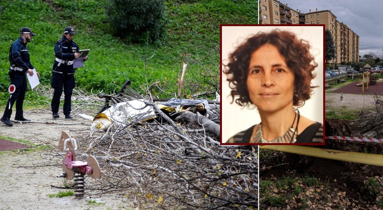 Cade albero a Roma, morta donna in un parco a Colli Aniene: Francesca Ianni passeggiava con un