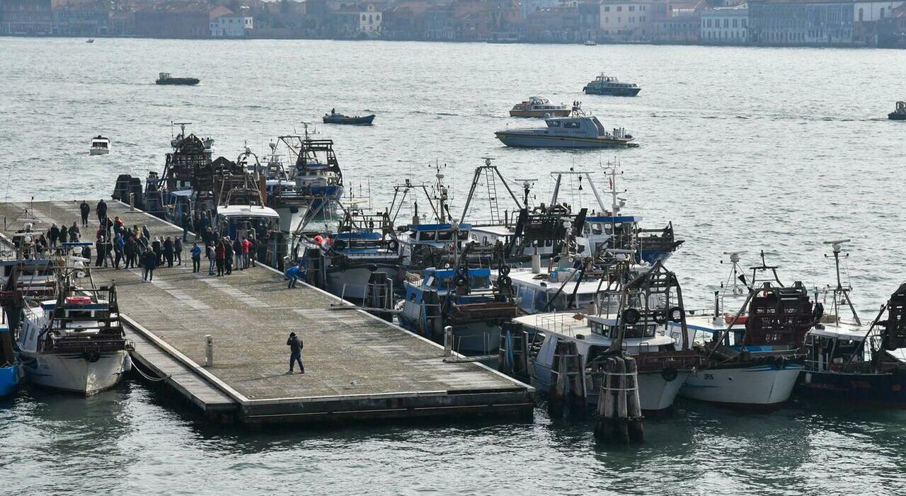 Granchio blu, clima e mucillagini, la grande crisi dei vongolari: protesta a Venezia per salvare il settore in emergenza. «Perdite totali»