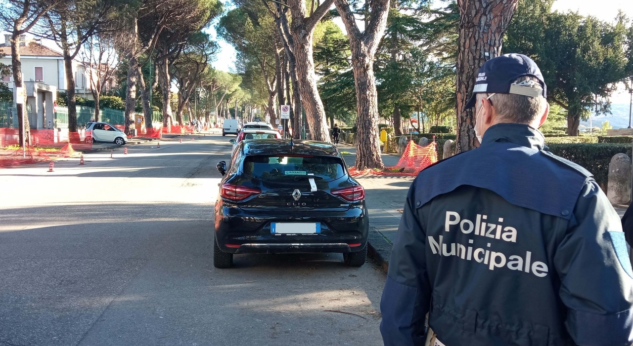 Thief Arrested After Stealing Elderly Tourist's Phone in Naples