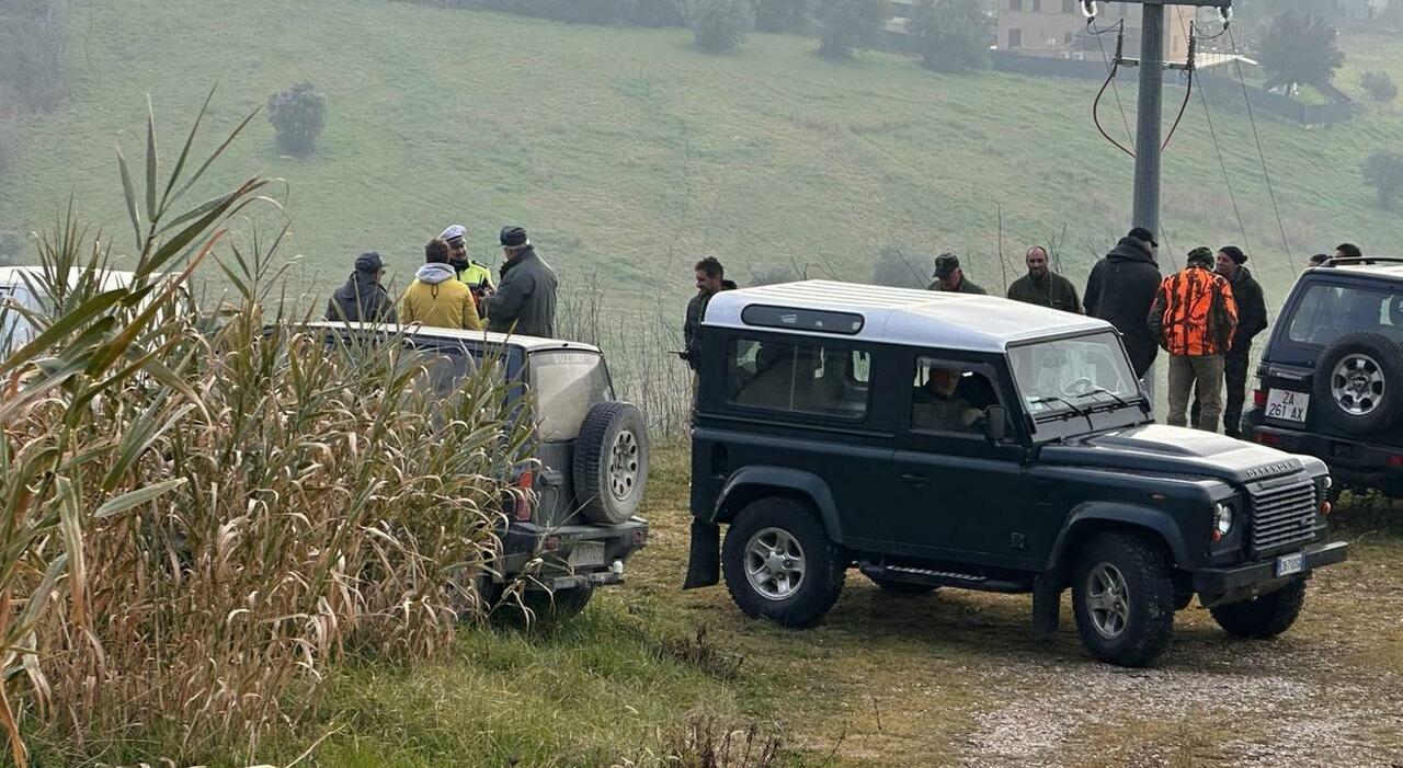 Macerata, allarme per i cinghiali a Santa Croce: sei esemplari abbattuti dai cacciatori