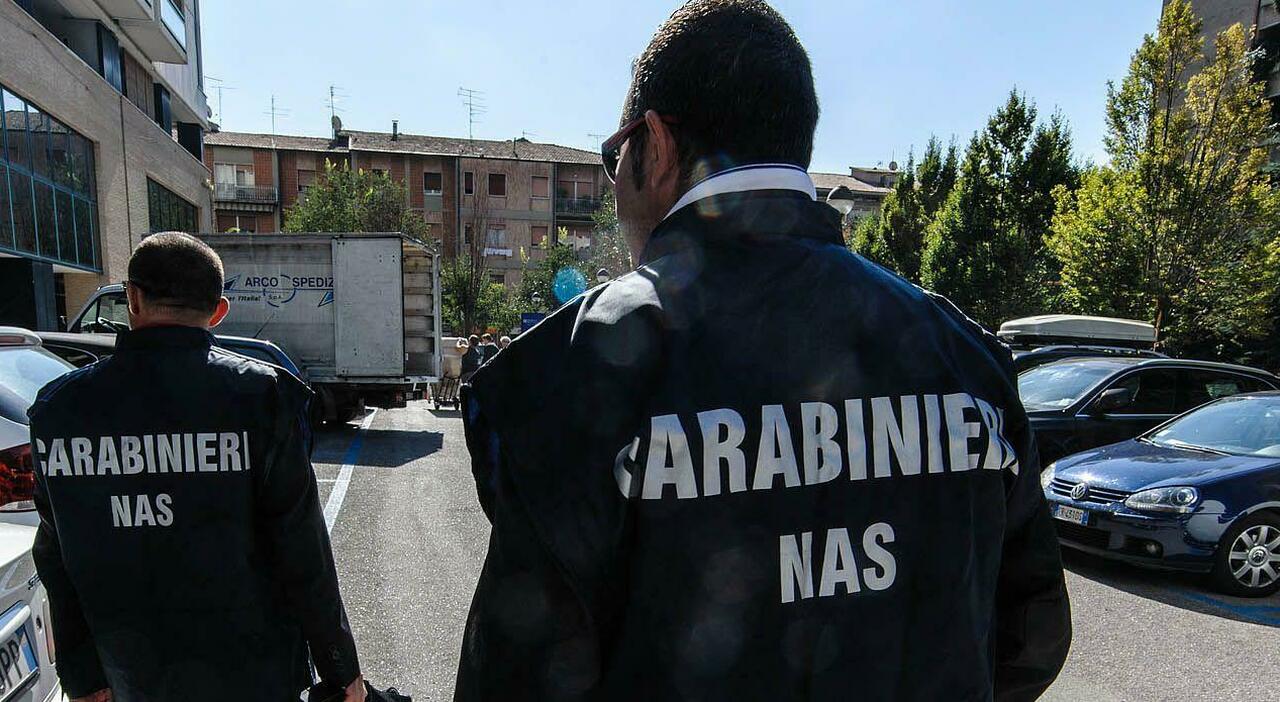 Una struttura su 5 irregolare, una era in un garage. Sospese 7 a Roma