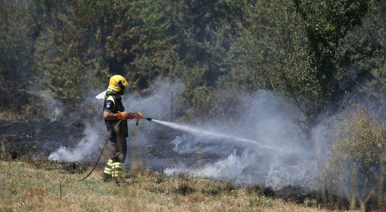 Pompieri morti 