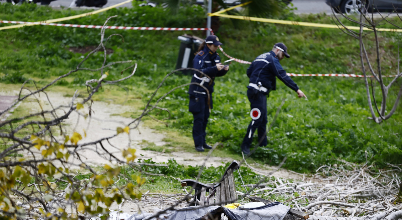 Francesca Ianni deceduta sotto un albero, indagini sui controlli effettuati