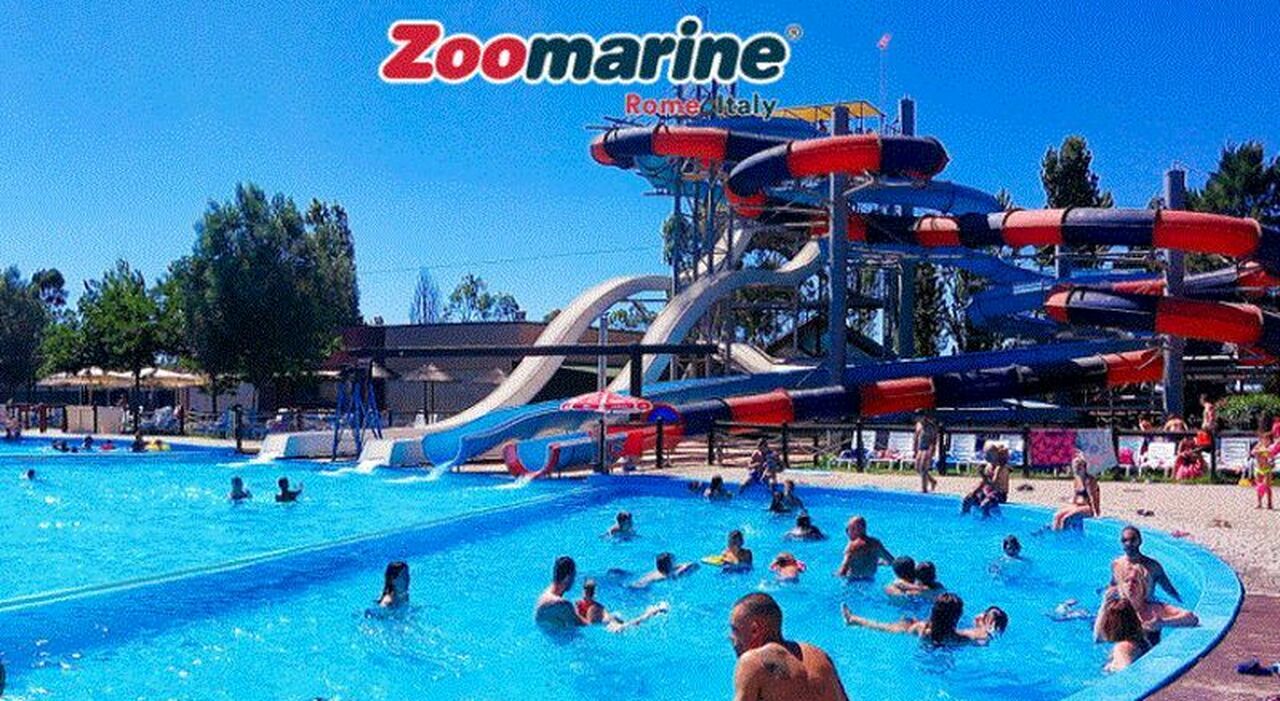 Job Opportunities at Zoomarine, the Marine-Themed Amusement Park