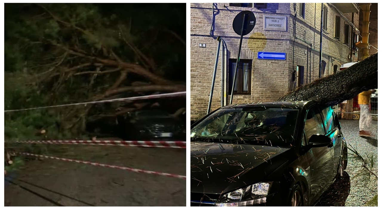 Pioggia e vento sulle Marche, allagamenti e strade chiuse. Gli alberi collassano: auto distrutte. Aggiornamenti oggi 20 ottobre 2024