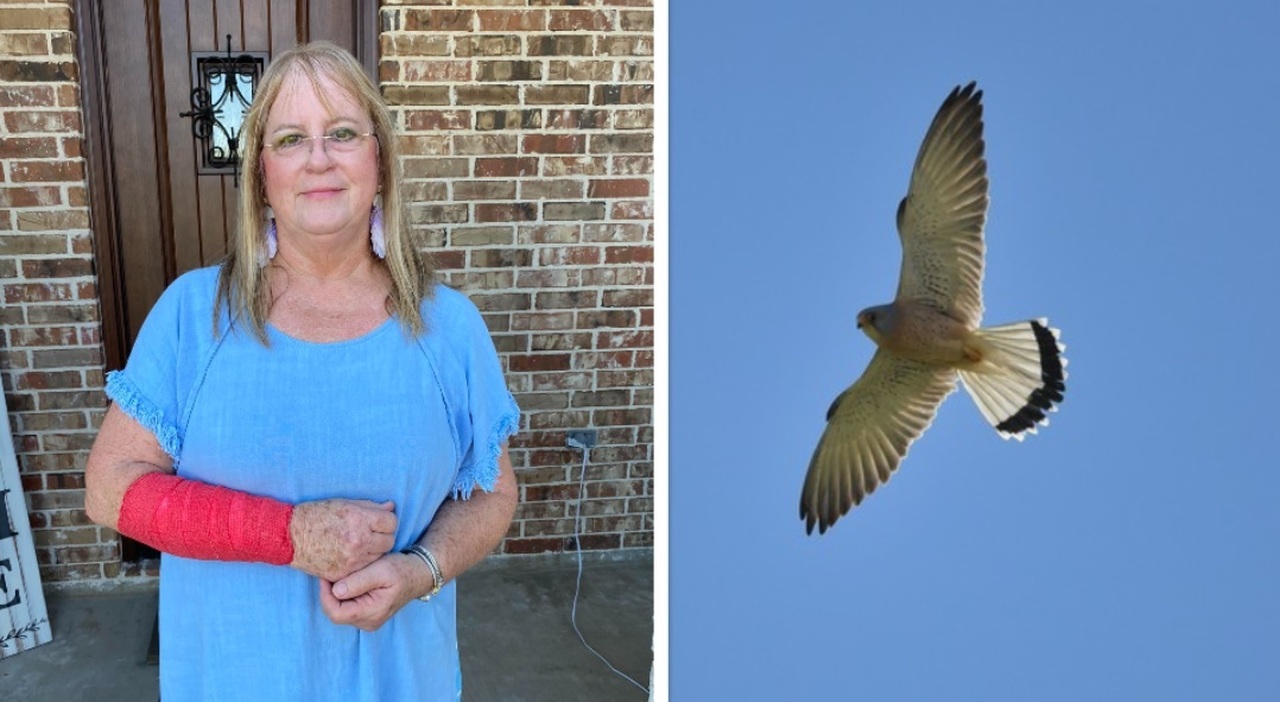 A snake falls from the sky and lands on her arm, a falcon swoops in and attacks both of them: a shock fight