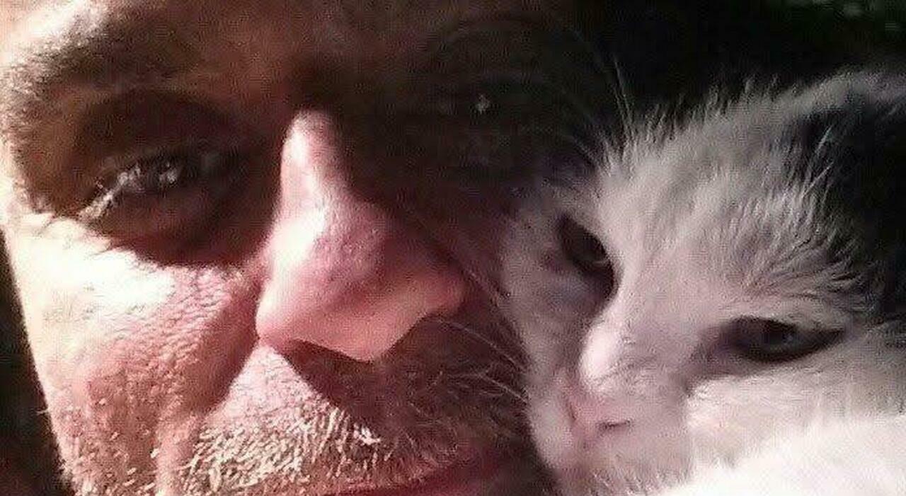 Uccisione di Antonio De Simone, ingegnere animalista: mobilitazione social per i suoi sei gatti