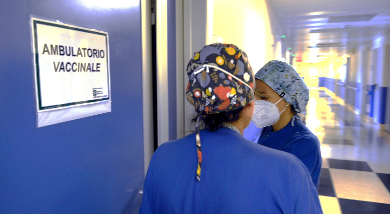 Vaiolo delle scimmie, l Vaiolo delle scimmie, l