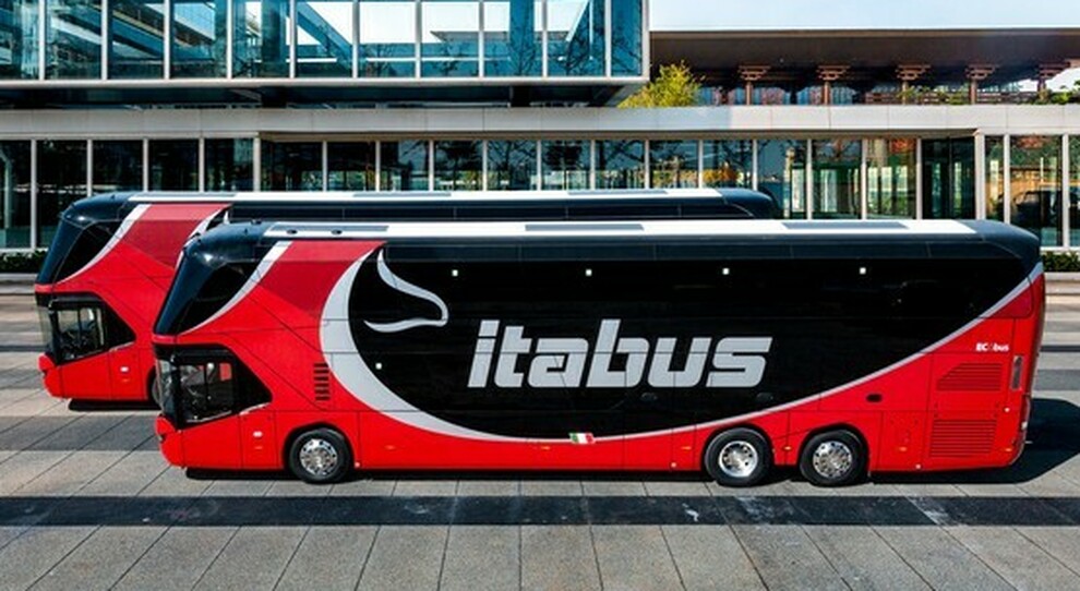 Due autobus di Itabus, il nuovo operatore di trasporto passeggeri su gomma