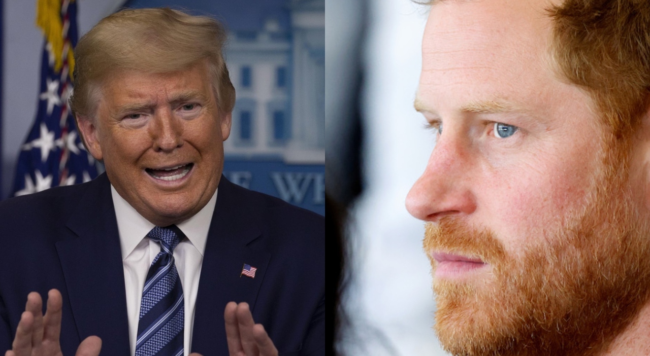 Donald Trump's Criticism of Prince Harry and His Stand on Immigration