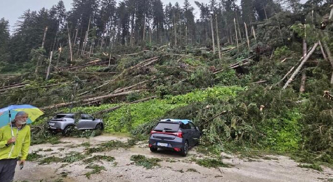 Maltempo, Tromba D'aria In Cadore: Come La Tempesta Vaia, Grandine E ...