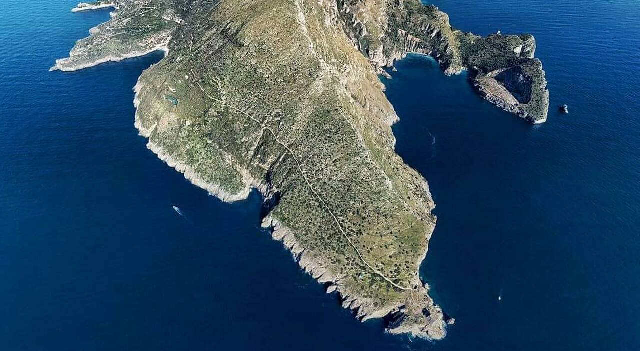 Punta Campanella dall'alto