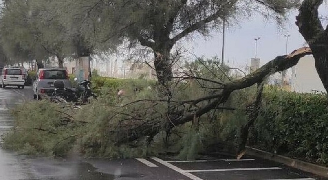 Pioggia E Vento Da Burrasca Ma L’allerta Meteo Nelle Marche è Passata ...