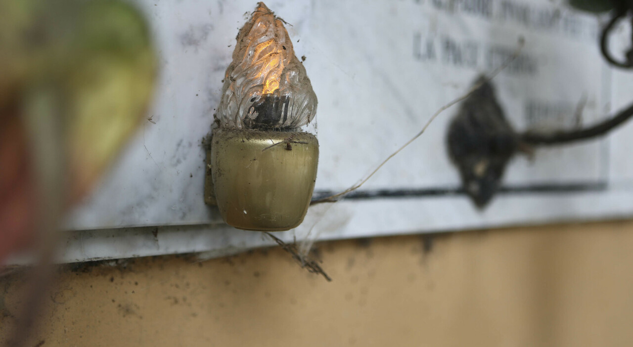 Lumini perpetui al cimitero: sono uno spreco inutile? Ecco una risposta  esaustiva