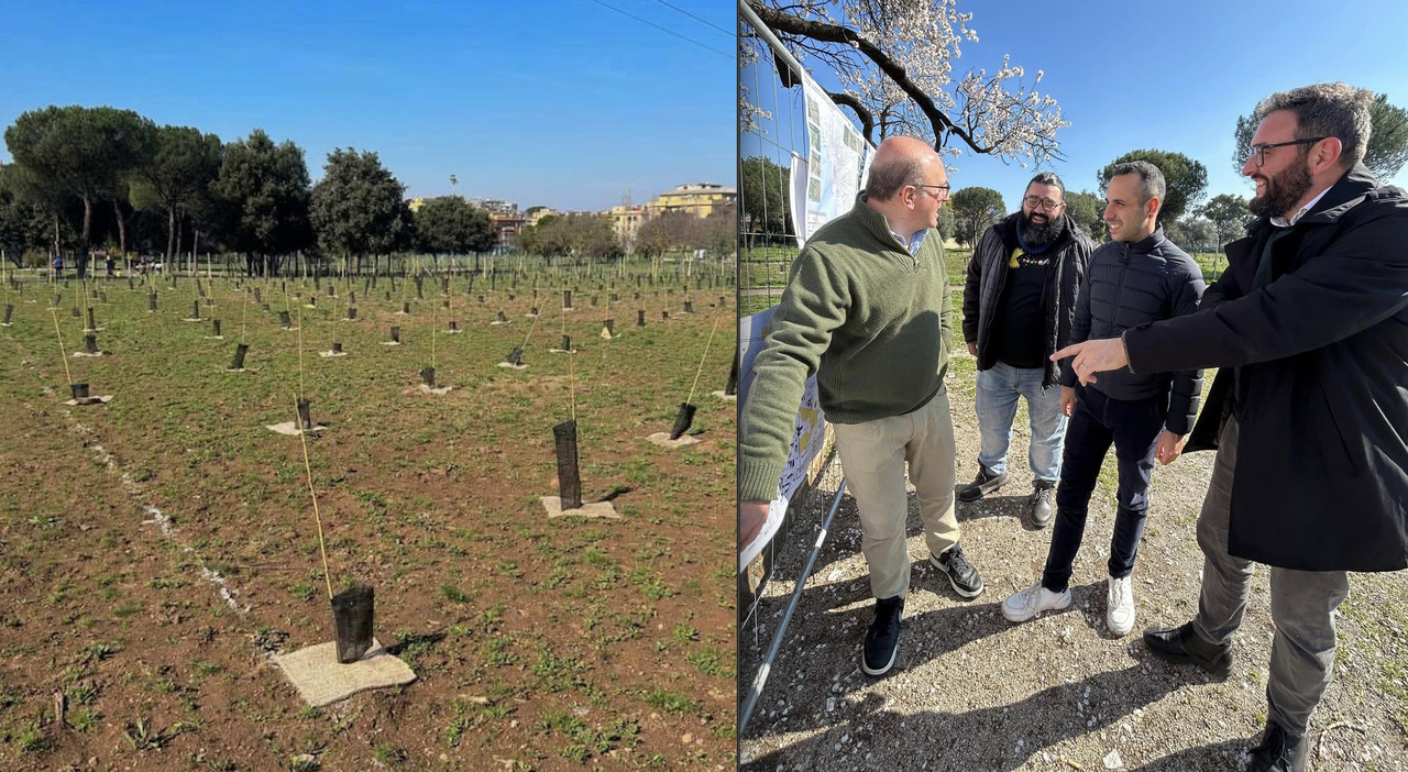 Piantumazione di oltre cinquemila arbusti nel Parco Bonafede dell’Alessandrino a Roma