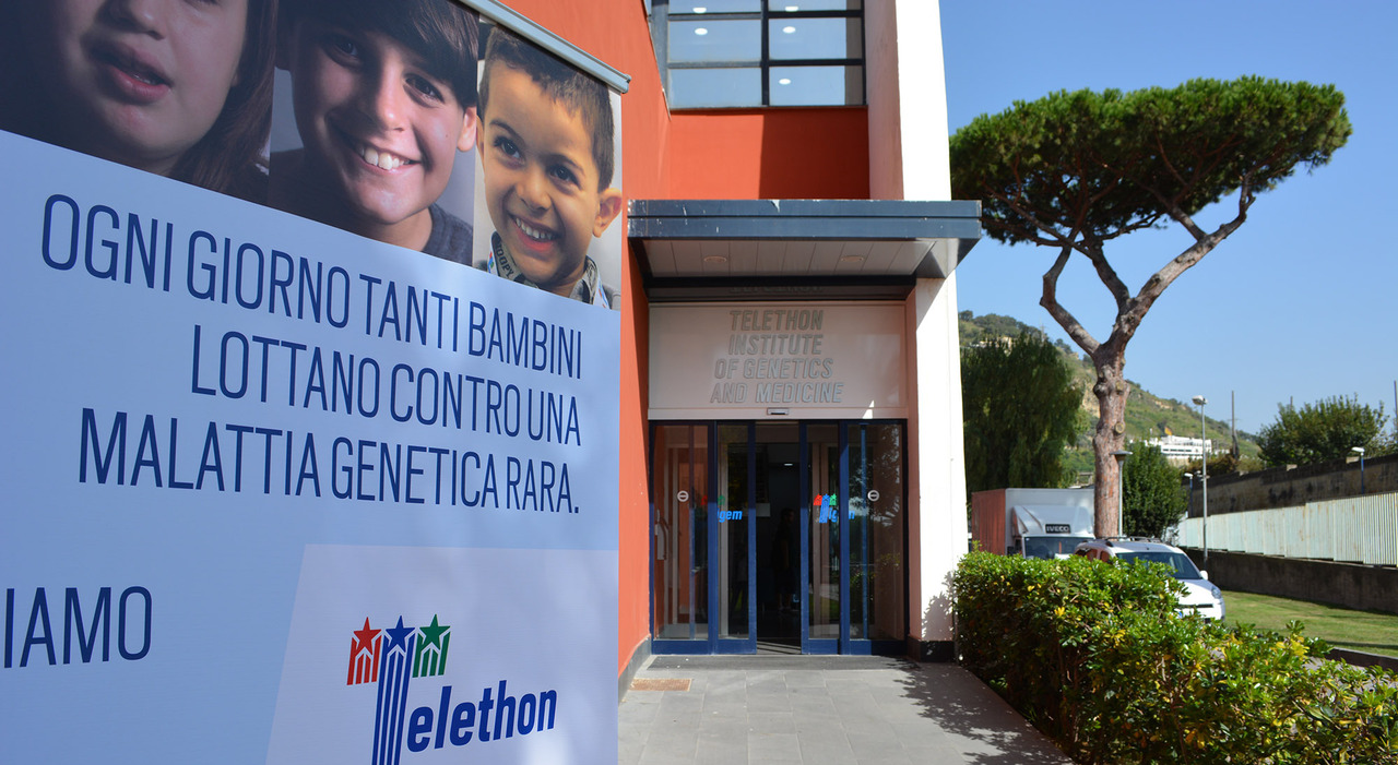 Malattie genetiche, da Napoli la chiave per le nuove cure