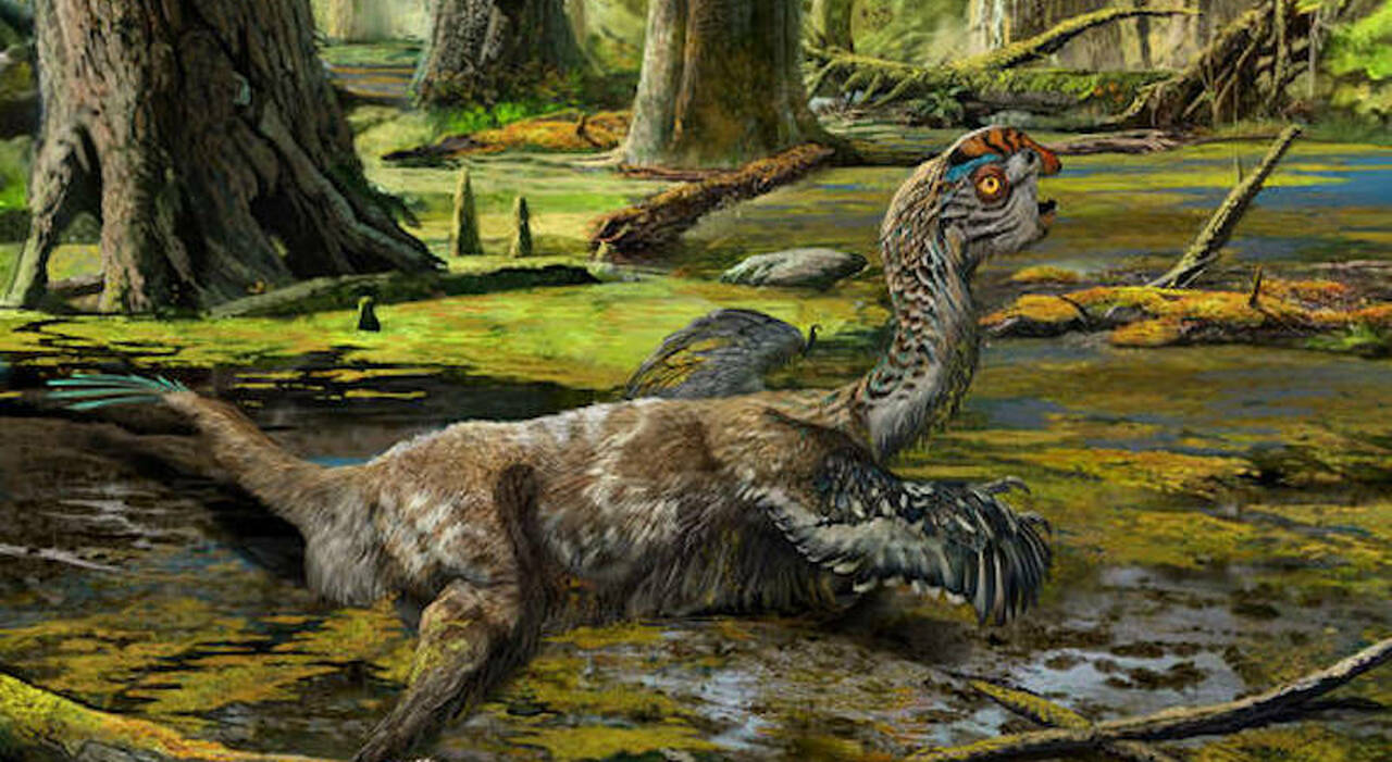 Desconocidos restos de dinosaurio descubiertos en la Patagonia