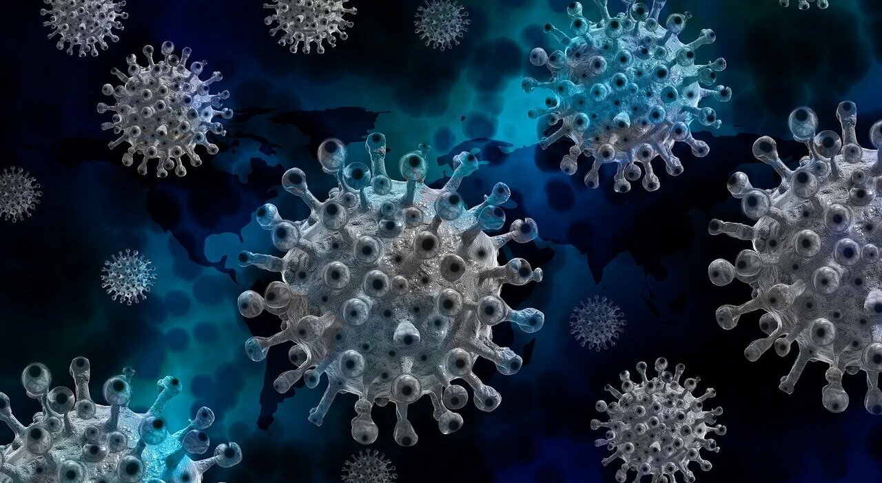 The Emerging B Virus Epidemic: From Monkeys to Humans