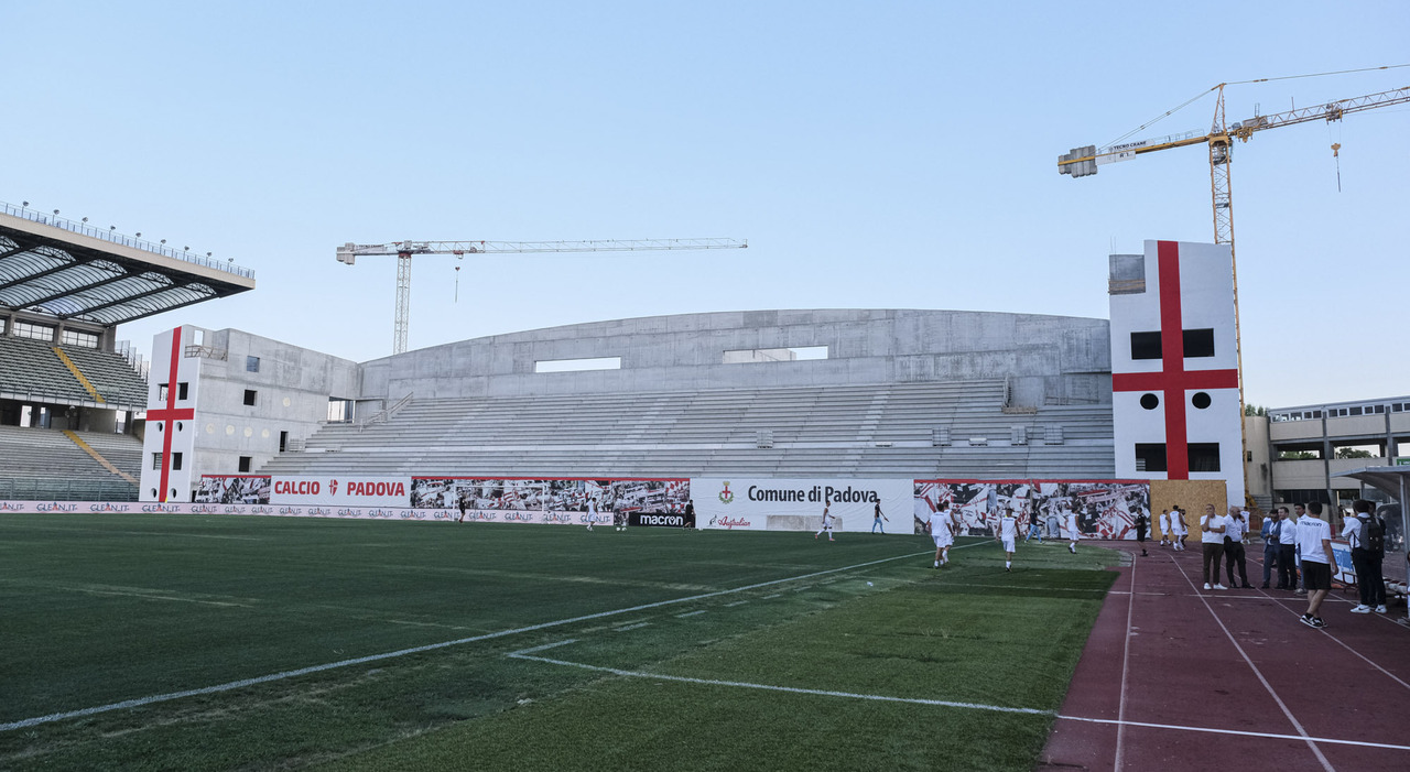 Stadio Padovani, Italia Viva dice no. Scende il gelo con il Pd - la  Repubblica