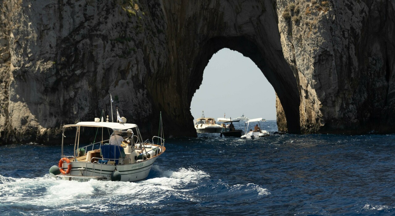 Capri fioccano 