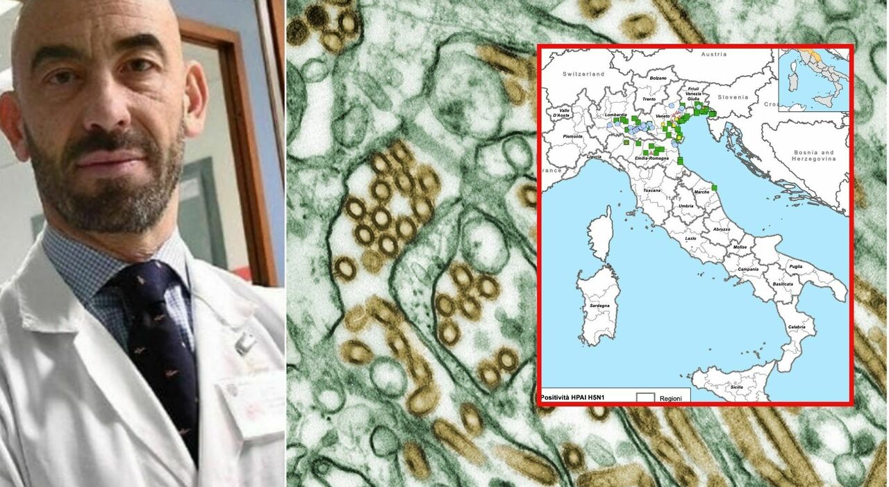 Influenza aviaria in Italia, la mappa. Bassetti: «Uno su due muore. Pandemia? Non siamo pronti». Sintomi e contagio