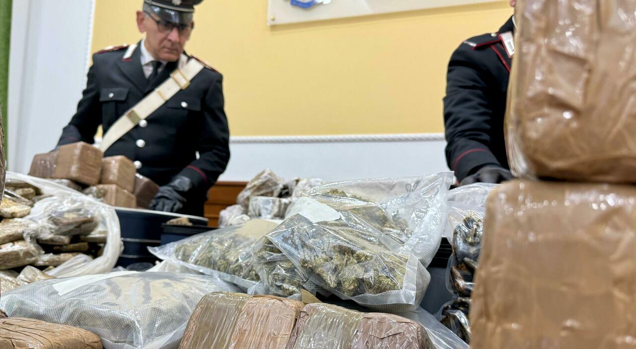 Traffico di droga a Napoli e Caserta, il sequestro più imponente degli ultimi anni: 4 arresti, 750 chili tra hashish e marijuana