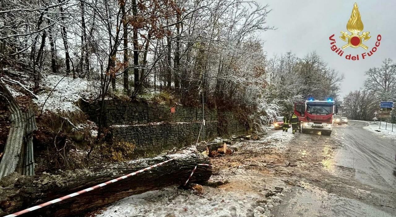 Maltempo, neve e vento fanno paura: anche oggi parchi e scuole chiuse. E spunta la proposta di permesso climatico: cos