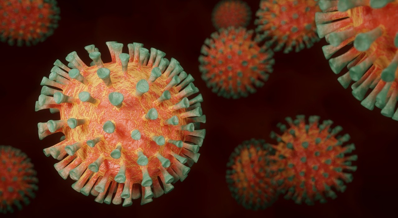 Maladie X, le risque d'une nouvelle pandémie