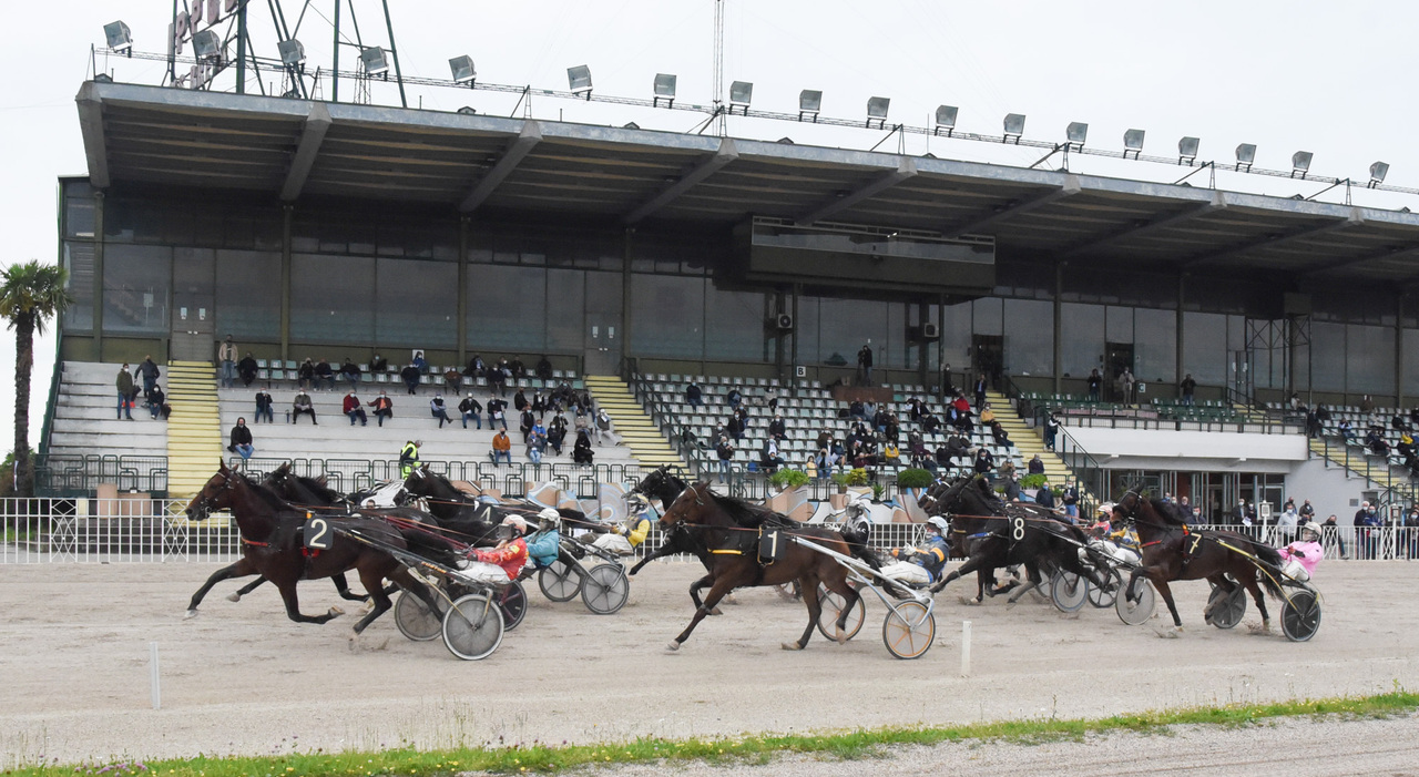 Doping al cavallo malato per farlo gareggiare: allenatore indagato per maltrattamenti e frode sportiva. Tre casi a Le Padovanelle