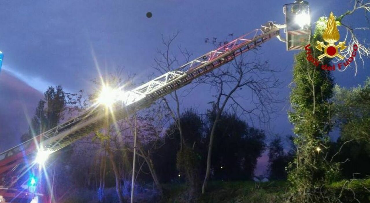 Raffiche di vento sulle Marche: già oltre 100 interventi dei vigili del fuoco. Ecco le previsioni per le prossime ore