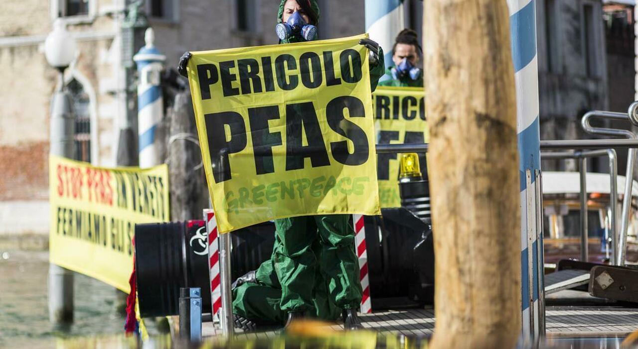 «Quattromila morti in Veneto per le acque contaminate dai Pfas. Soprattutto giovani»