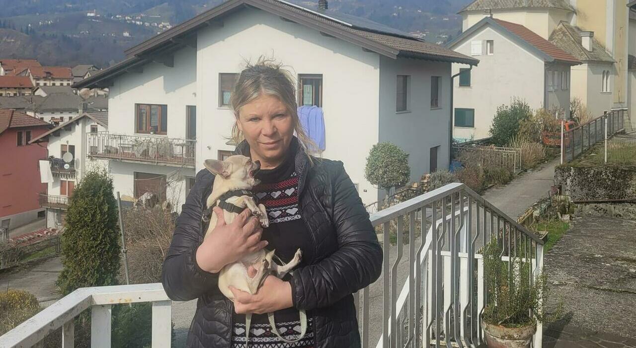 Mestrina 50enne a passeggio con il cane incontra 5 lupi nel bosco e scoppia a piangere: «Pietrificata dalla paura»