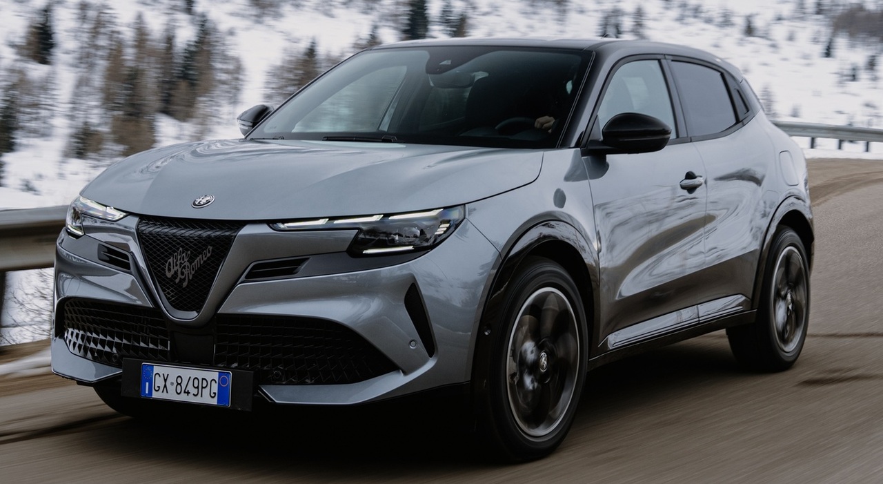 L'Alfa Junior Ibrida Q4