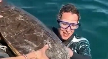 Federica Pellegrini adotta una tartaruga e la libera in mare: «Un'esperienza che invito tutti