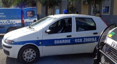 Scarpe 300 euro outlet