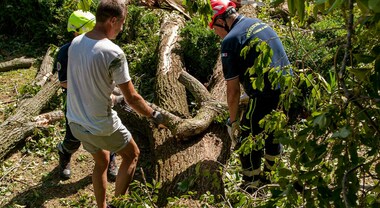 Incidente mortale in Val di Sole: uomo perde la vita schiacciato da un  tronco mentre taglia la legna nel bosco