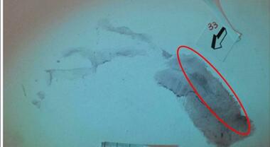 Garlasco, svolta sull'impronta 33: «Tutto l'intonaco è stato consumato». A rischio gli esami su Andrea Sempio