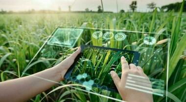 Prodotti di eccellenza, tradizioni locali e nessuno spreco: gli ingredienti del successo