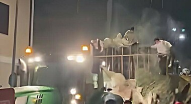 Festa di Sant’Antuono, fumo da un carro e pioggia: debutto amaro a Portico di Caserta