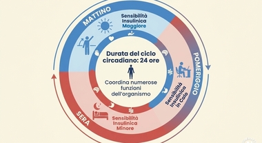 «Cenare presto non fa dimagrire»: il ruolo dell'orologio biologico, la risposta ai carboidrati e il nodo delle quantità