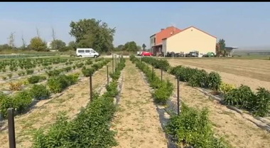 Milano, la cascina in città che dà lavoro alle persone fragili